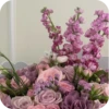 Beauty | Flowers💐 9