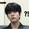 Stray Kids ot8 15
