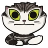 Tabby The Cat 5