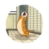 Cat^^ 17