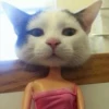 dolls on crack 9