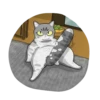 Cat^^ 19