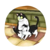 Cat^^ 21