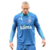 Erling Haaland ⚽️ 17 🎯