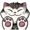 Tabby The Cat 6
