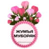 Animatsion Stikerlar To'plami. 12