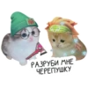 РАЗРУБИ МНЕ ЧЕРЕПУШКУ