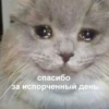 спасибо За испорченный день