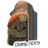 СКИНЬ ПОПУ