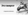 МYравей-философ от 20