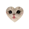 Kitties love @tgstikks @iamideas 25
