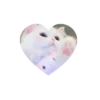 Kitties love @tgstikks @iamideas 27
