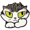 Tabby The Cat 9
