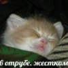 HeulXFjYtpem_by_stickers_stealer_bot 25