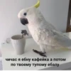 Any_Kazaeby_ 8