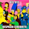 OYE, OYE, + DESPACIO CEREBRITO