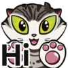 Tabby The Cat 11
