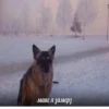 Макс я замерз