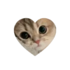 Kitties love @tgstikks @iamideas 30