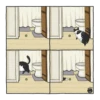 Cat^^ 26