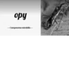 МYравей-философ от 23