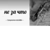 МYравей-философ от 26
