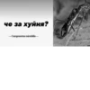 МYравей-философ от 29