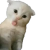 🎀Больше 6