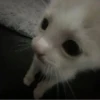 Создать стикеры| 5