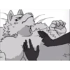 Furros xd 8