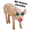 Tóxicas 7