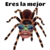 Tóxicas 8