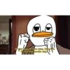 Dolan Duck 2 10
