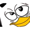 Dolan Duck 2 12
