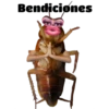 Tóxicas 11