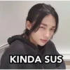 Skz stikers 12