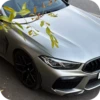Car Resing Автор: 15