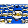 Dolan Duck 2 16