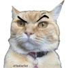 ultimative Chatte 6