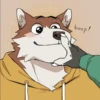 Furros xd 18