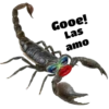 Tóxicas 22