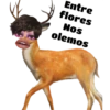 Tóxicas 23