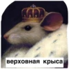 💜 Join 👉 16