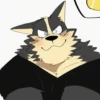 Furros xd 20