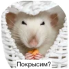 💜 Join 👉 19