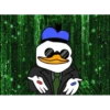 Dolan Duck 2 23
