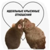 💜 Join 👉 21