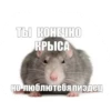 💜 Join 👉 23