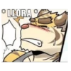 Furros xd 28