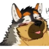 Furros xd 29